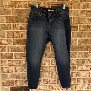 Torrid Dark Wash Skinny Jeggings Jeans